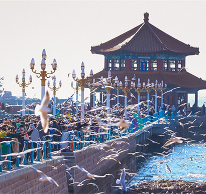 冲刺迎办省旅发大会！百年青岛栈桥惊艳升级“整装待发”