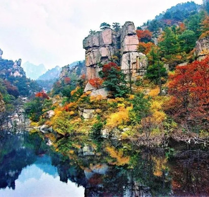 秋季赏叶最佳时节来啦！青岛发布2023崂山赏叶地图
