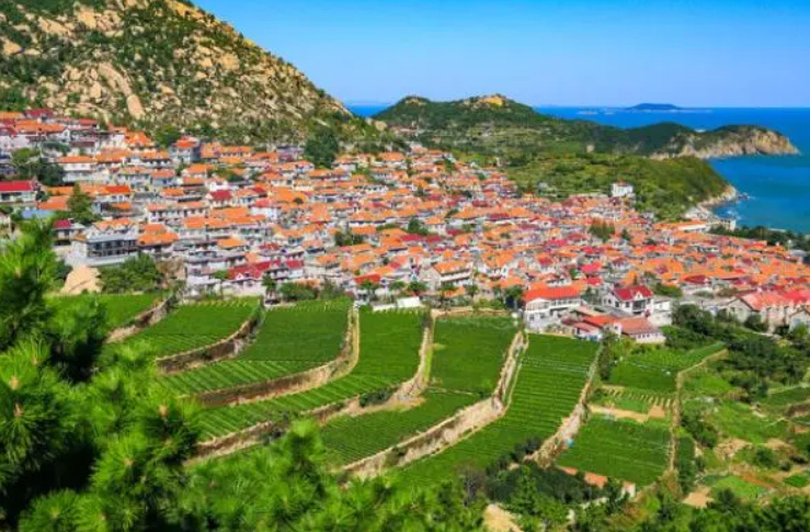 提质升级 青岛乡村旅游走出“新路子”