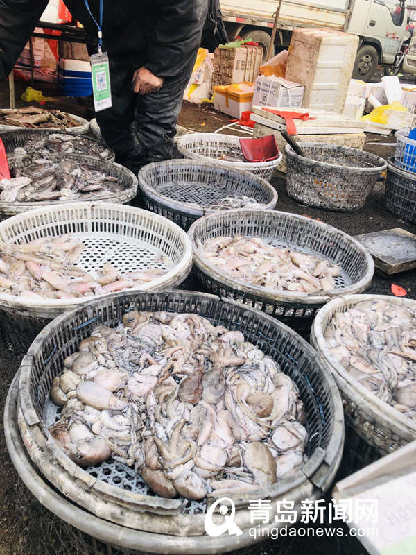 已有三百年历史传统 青岛泊里大集年味十足