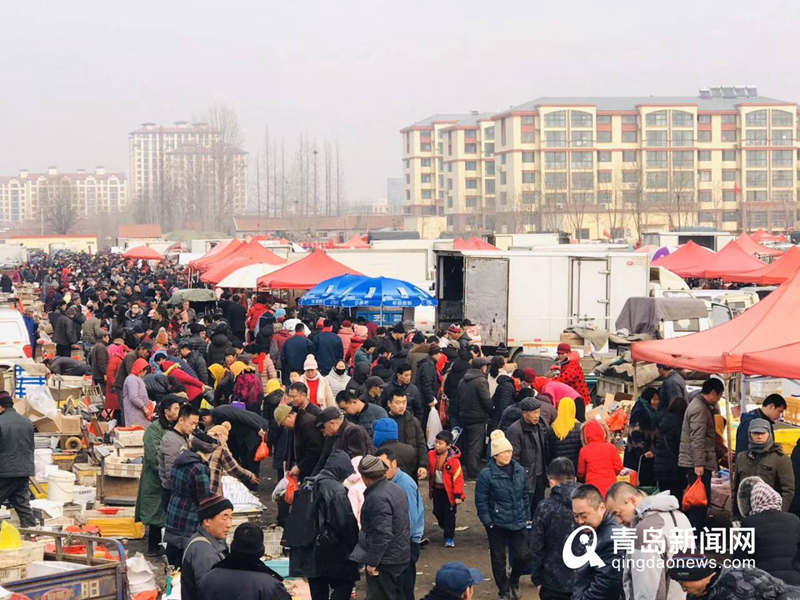 已有三百年历史传统 青岛泊里大集年味十足