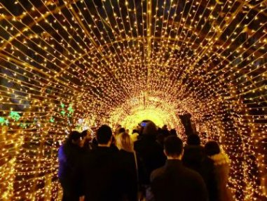 中国彩灯点亮纽约冬夜