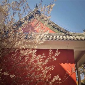 【馆藏精品云展厅】——青岛市美术馆特别推出馆藏线上精品展（二）