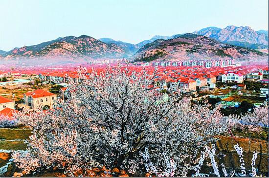 青岛景区密集开放 调查显示：5月预计迎旅游高峰