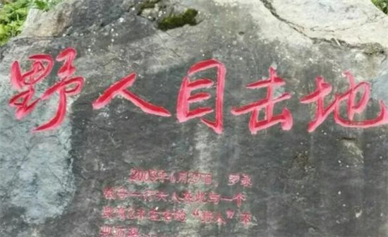 游记:《寻野人不遇》——走进神农架