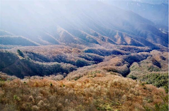 游记:《寻野人不遇》——走进神农架
