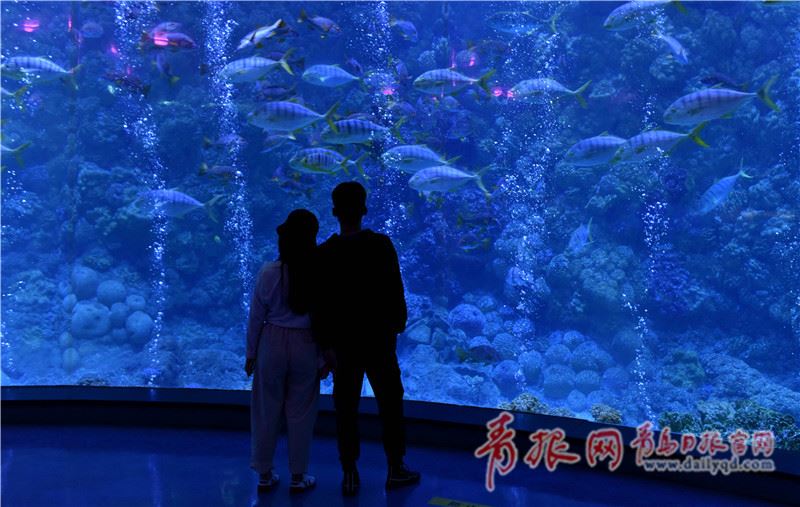 青岛室内旅游场馆有序恢复开放 记者实地探访