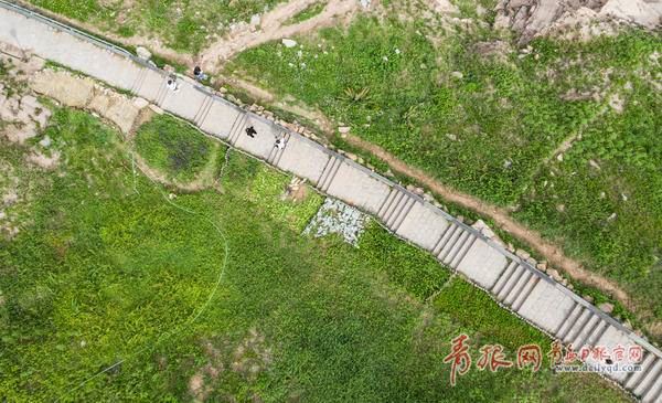 凭栏听风吟 青岛这条海滨木栈道步步入画