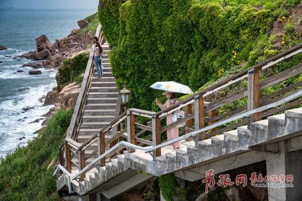 凭栏听风吟 青岛这条海滨木栈道步步入画