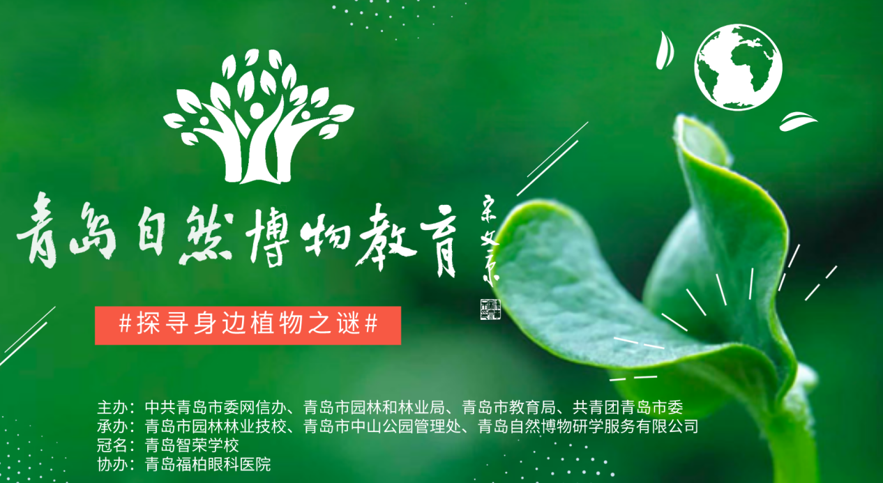 对标学深圳 青岛首个自然博物教育上线