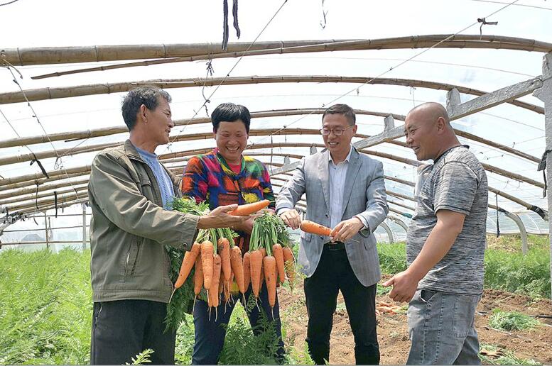 “青选书记”下乡代言萝卜白菜 创立农产品品牌助力村民增收