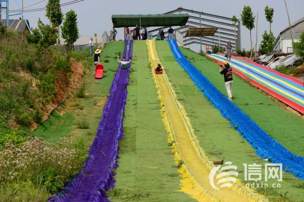 “芳香世界”开启田园之旅 美丽乡村成为网红打卡点