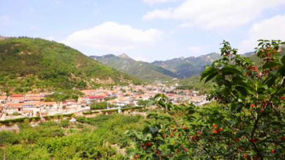 青岛这个网红村，承包你春夏两季的快乐