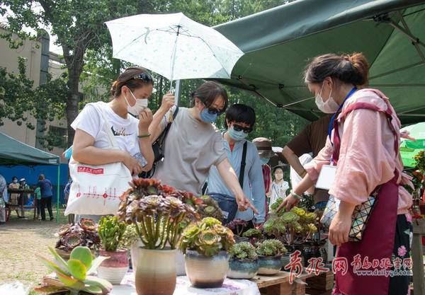 青岛首个园艺市集在中山公园“开摊儿”