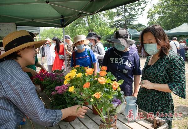 青岛首个园艺市集在中山公园“开摊儿”