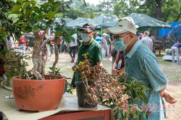 青岛首个园艺市集在中山公园“开摊儿”