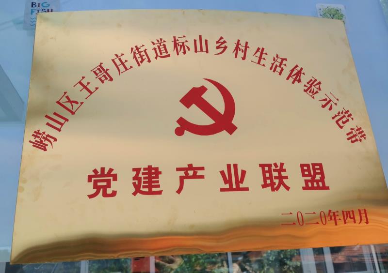 青岛崂山王哥庄街道放大招:聚力乡村振兴,打好打赢脱贫攻坚战