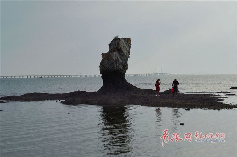 像鹰嘴、像石椿……这些礁石成青岛旅游景观