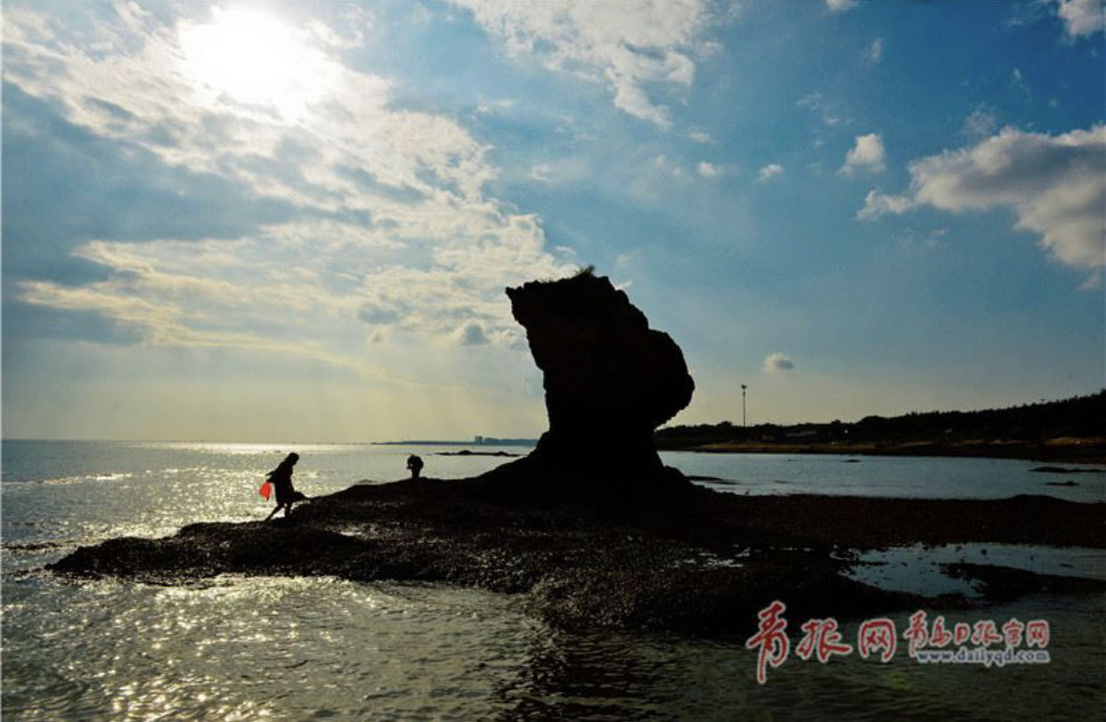 像鹰嘴、像石椿……这些礁石成青岛旅游景观