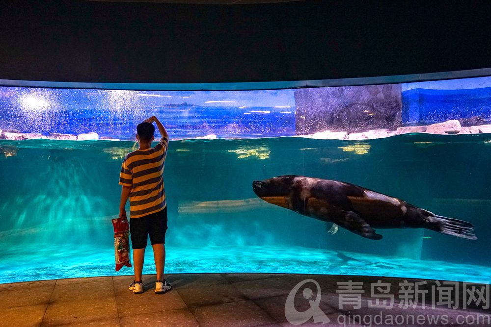 打卡青岛水族馆 认识青岛认识海洋从这里开始吧