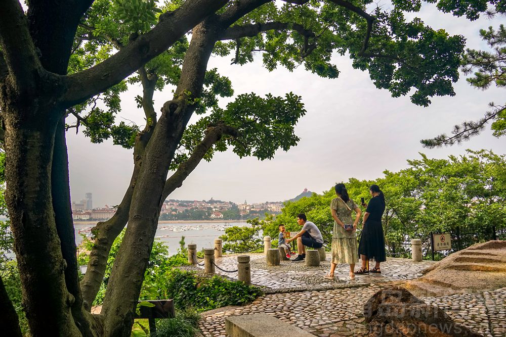 打卡美丽的小青岛 那是名副其实的海上花园