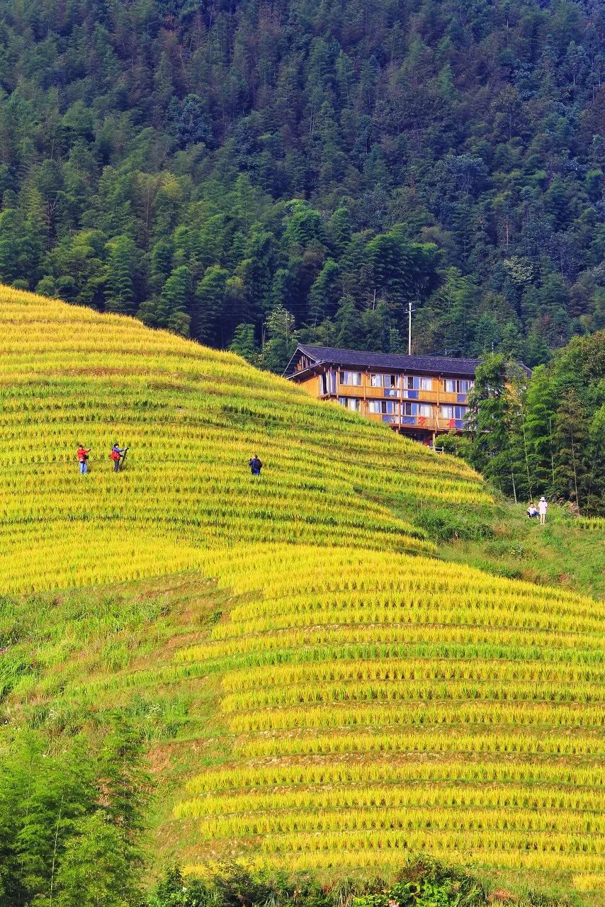 9月最佳旅行地榜单 | 这些地方的颜值要逆天了！