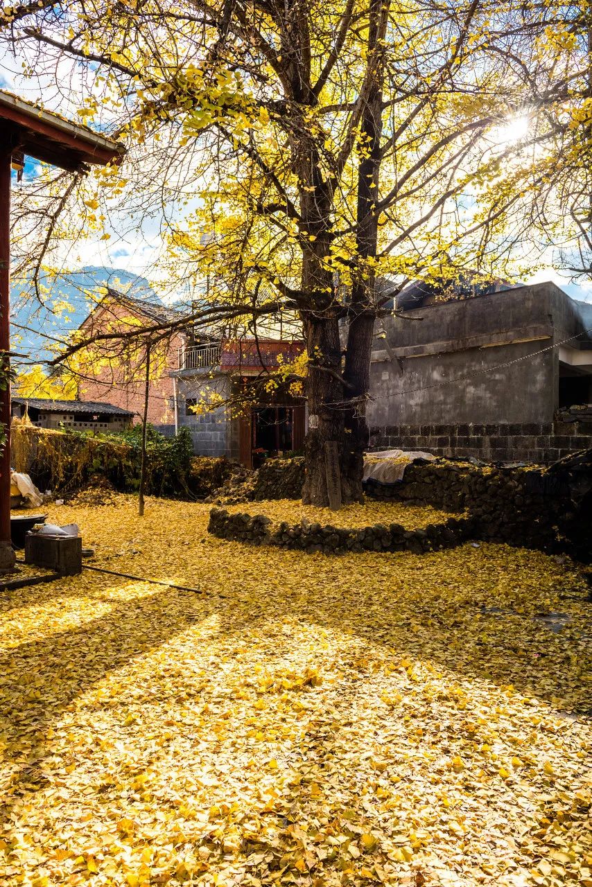 9月最佳旅行地榜单 | 这些地方的颜值要逆天了！