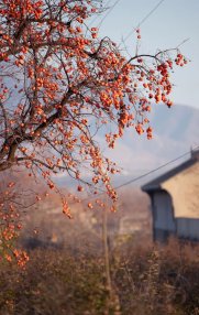 9月最佳旅行地榜单 | 这些地方的颜值要逆天了！