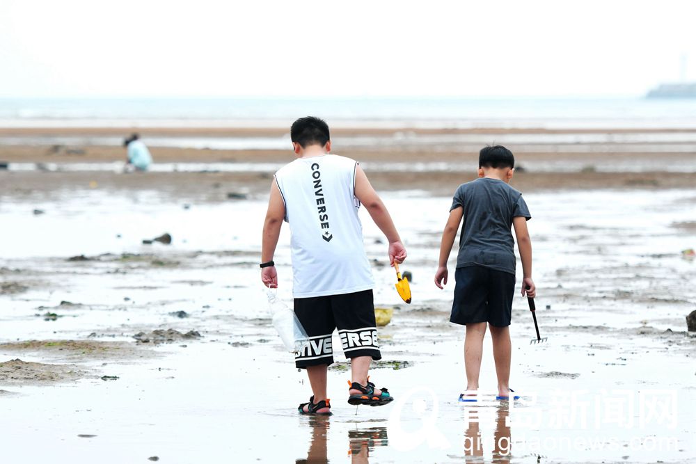 赶海 青岛一个十分诱人大有发展潜力的旅游项目