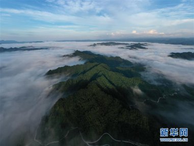 湖北利川：云海若隐若现 美如画卷
