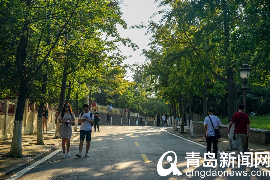 青岛城市大片：秋天的八大关 少了几分喧闹多了几分闲适