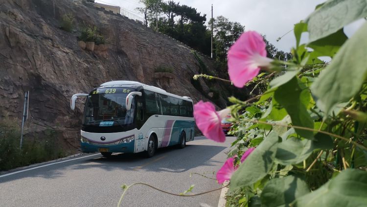 秋高气爽游崂山 可以这样乘公交前往