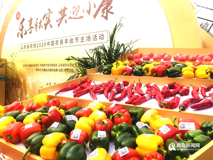 中国农民丰收节在青盛大开幕 百余种农副产品等你免费品尝
