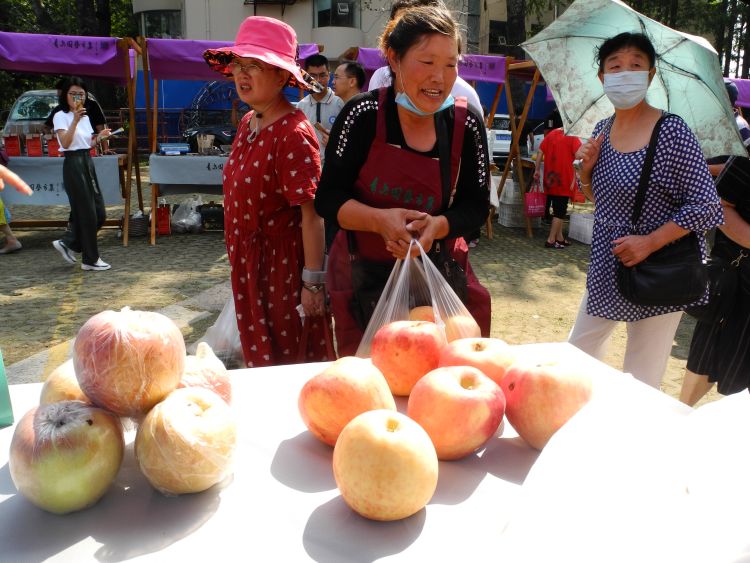全是本地最好吃的！青岛园艺市集上助农水果热销