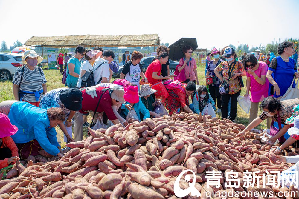 秋游即墨大丰收合作社 田园风光乡村美食乡土游戏等你