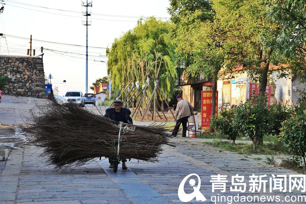 600年前名震海疆 即墨雄崖所古城威武犹存