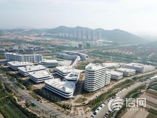清华大学党委书记来青调研：把研究院建成艺术学子“打卡点”