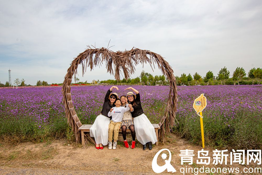【秋游青岛】即墨龙泉 美丽乡村处处是 游人打卡忙不停