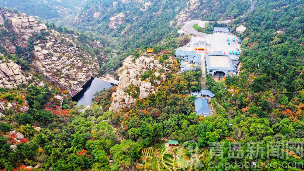 【秋游青岛】航拍崂山巨峰 层林尽染美如画