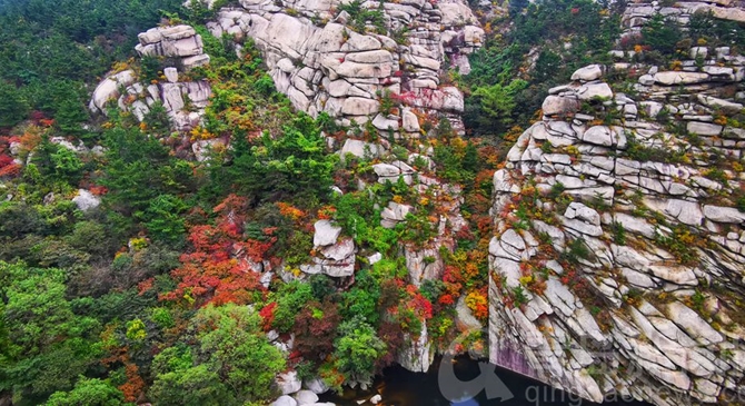 【秋游青岛】航拍崂山巨峰 层林尽染美如画