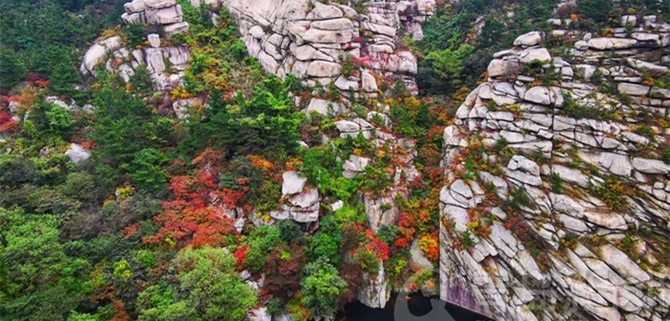 【秋游青岛】航拍崂山巨峰 层林尽染美如画