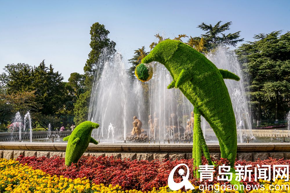 青岛菊展主会场中山公园 千姿百态是菊花