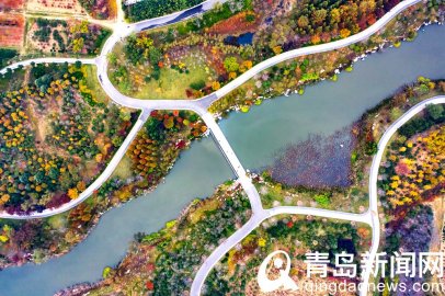 【秋游青岛】西海岸有个张家楼 秋天景色美得没法说