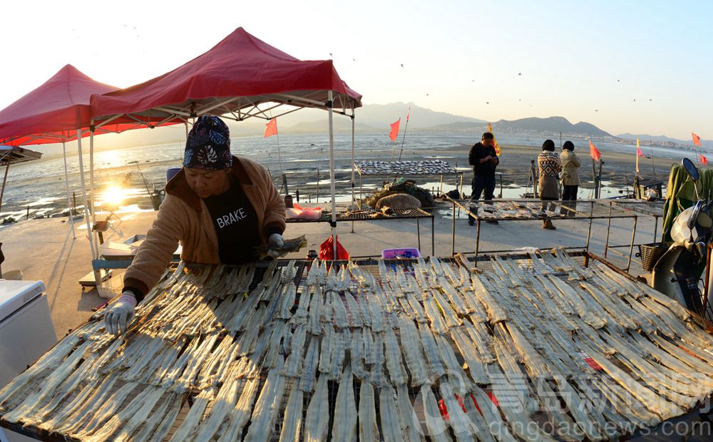 港东渔码头 又迎来了一年中晒鱼的好季节