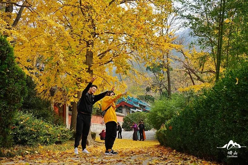 全国山岳型景区百强名单出炉，崂山风景区强势上榜！