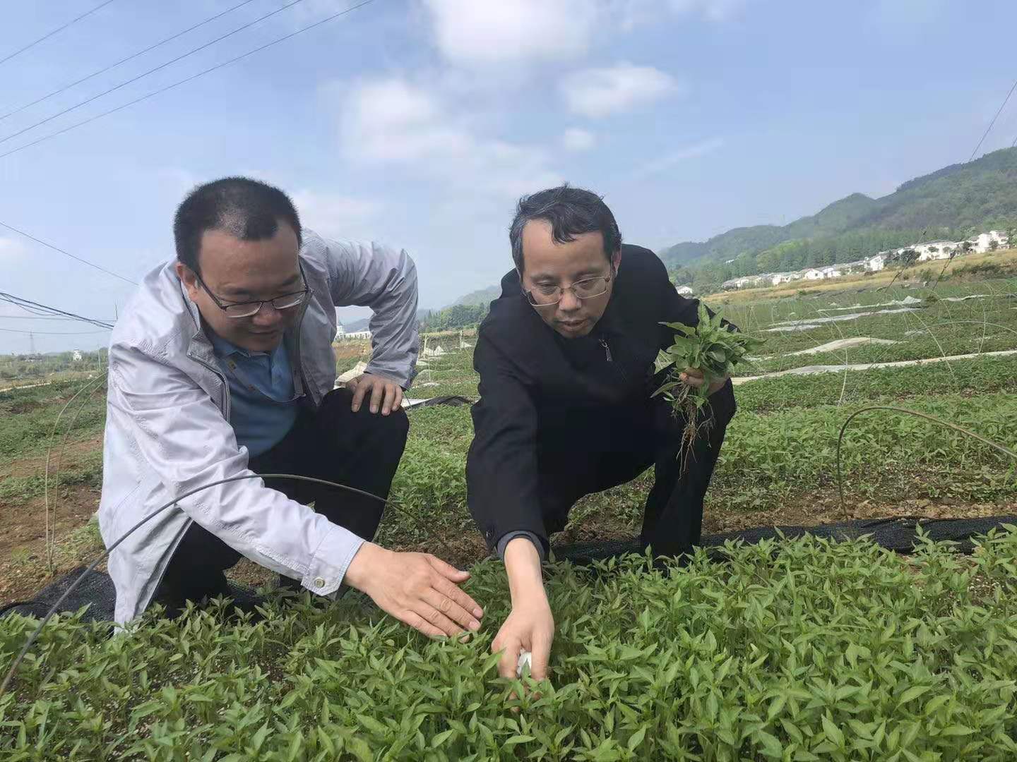 如何打造脱贫攻坚题材文学精品？文化名家这样说