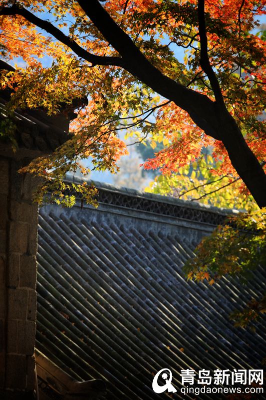 青岛大片：崂山深处太清宫 景色还是好个秋