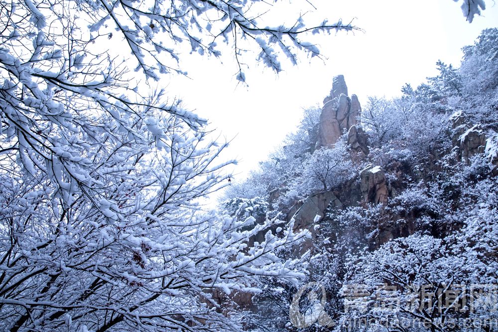 雪后的青岛北九水成了人间仙境