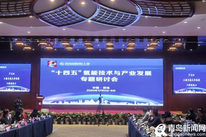 国内外院士齐聚青岛国际院士港 共商氢能技术与产业发展