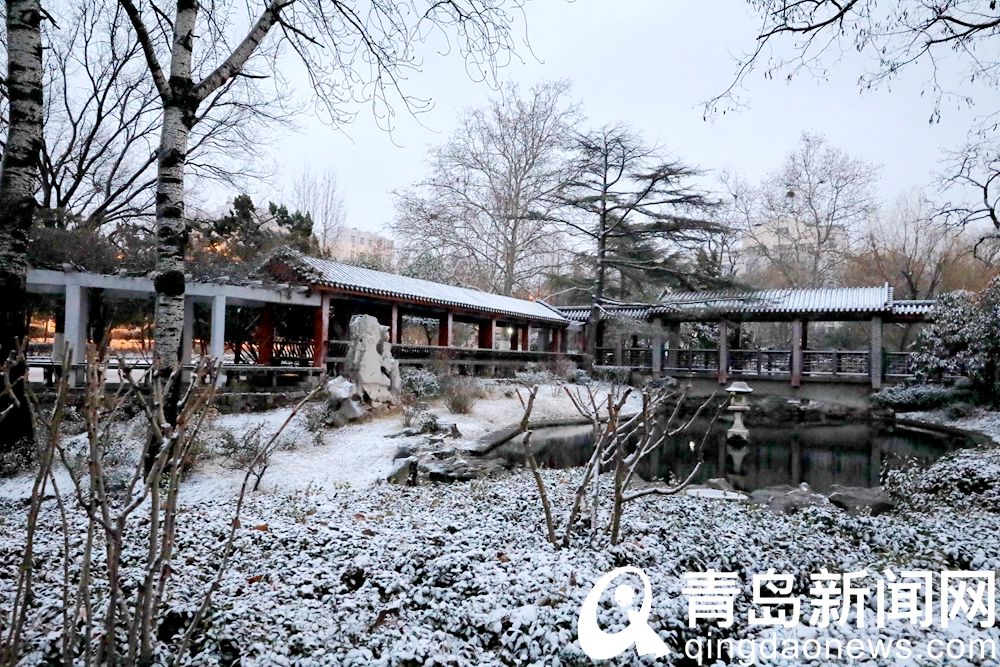 瑞雪之中 青岛沧口公园更显古典之美